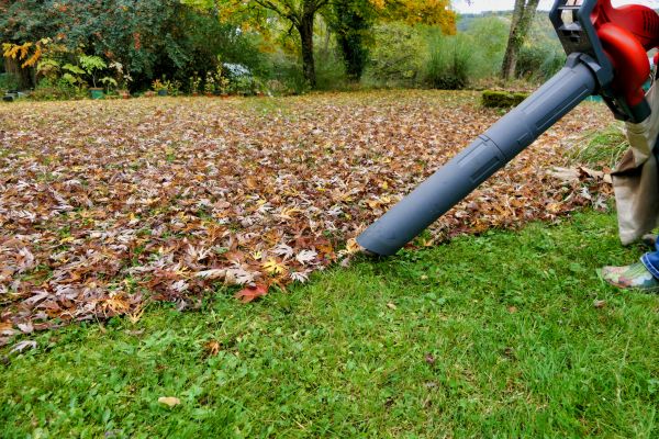 Cost of Leaf Vacuuming Service in Saint Petersburg