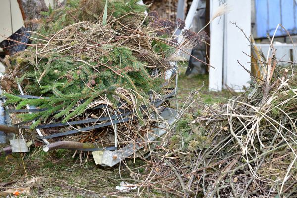 Cost of Yard Debris Removal in Saint Petersburg
