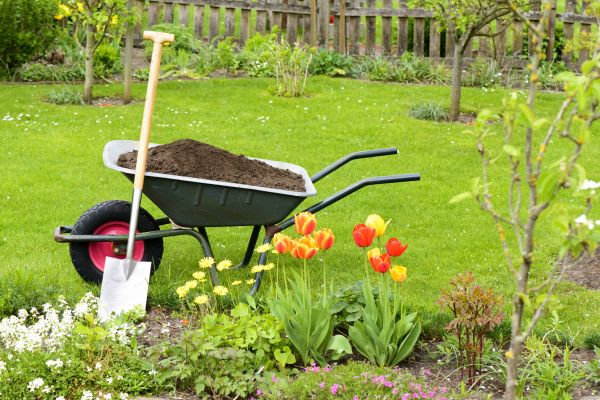 Cost of Spring Yard Cleanup in Saint Petersburg