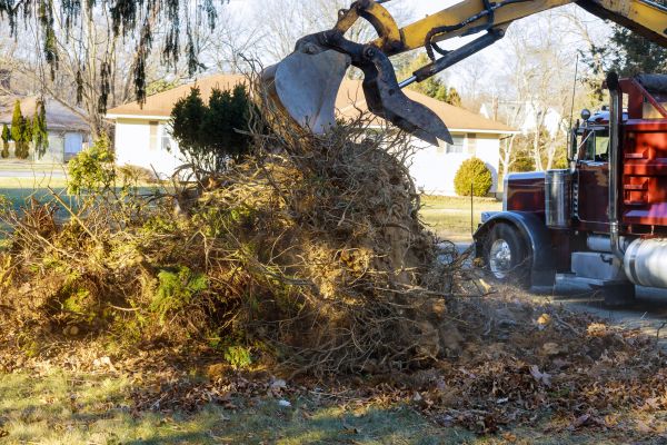 Cost of Storm Debris Removal in Saint Petersburg
