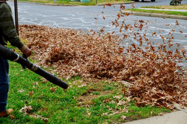 Cost of Garden Leaf Removal in Saint Petersburg
