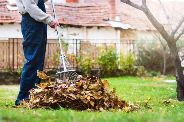 Cost of Spring Lawn Cleanup in Saint Petersburg