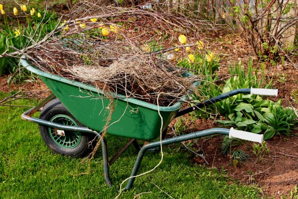 Cost of Lawn Waste Removal in Saint Petersburg