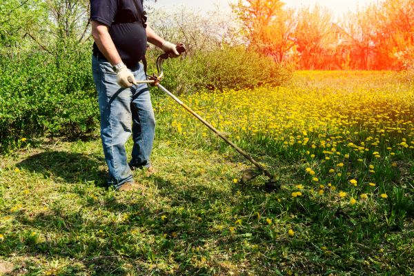 Cost of Yard Clearing Service in Saint Petersburg