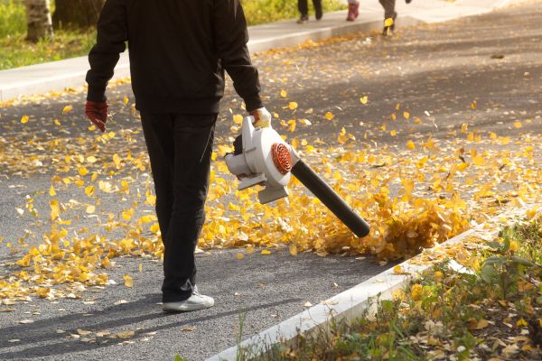 Cost of Commercial Leaf Removal in Saint Petersburg