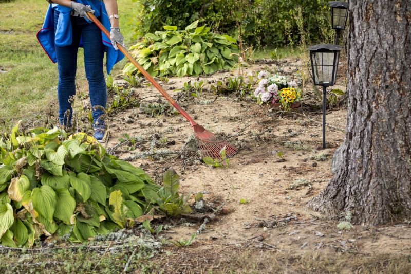 Storm debris clearing